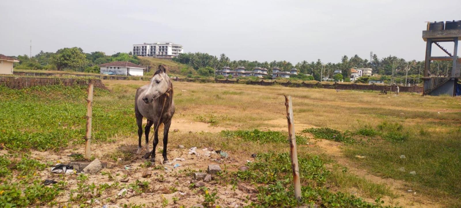 Bekal Fort Beach Resorts Bekal Town Zewnętrze zdjęcie